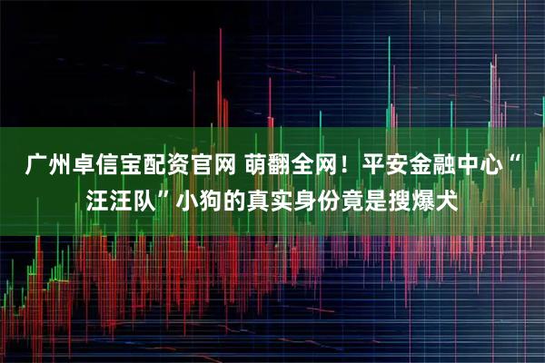 广州卓信宝配资官网 萌翻全网！平安金融中心“汪汪队”小狗的真实身份竟是搜爆犬