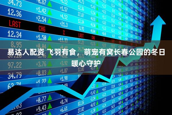 易达人配资 飞羽有食，萌宠有窝长春公园的冬日暖心守护