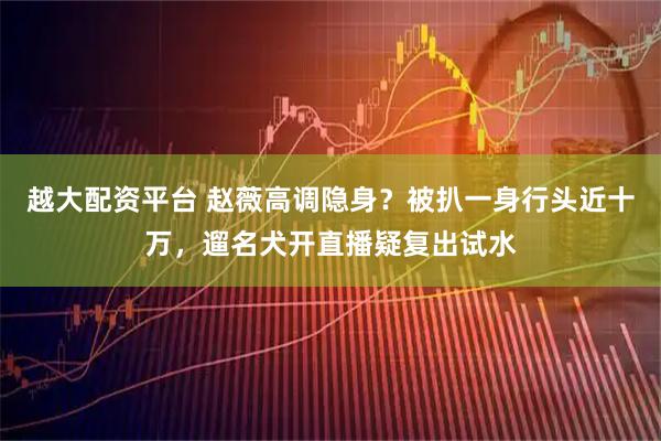 越大配资平台 赵薇高调隐身？被扒一身行头近十万，遛名犬开直播疑复出试水