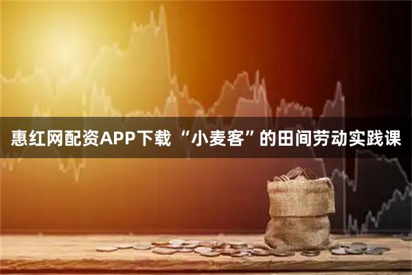 惠红网配资APP下载 “小麦客”的田间劳动实践课